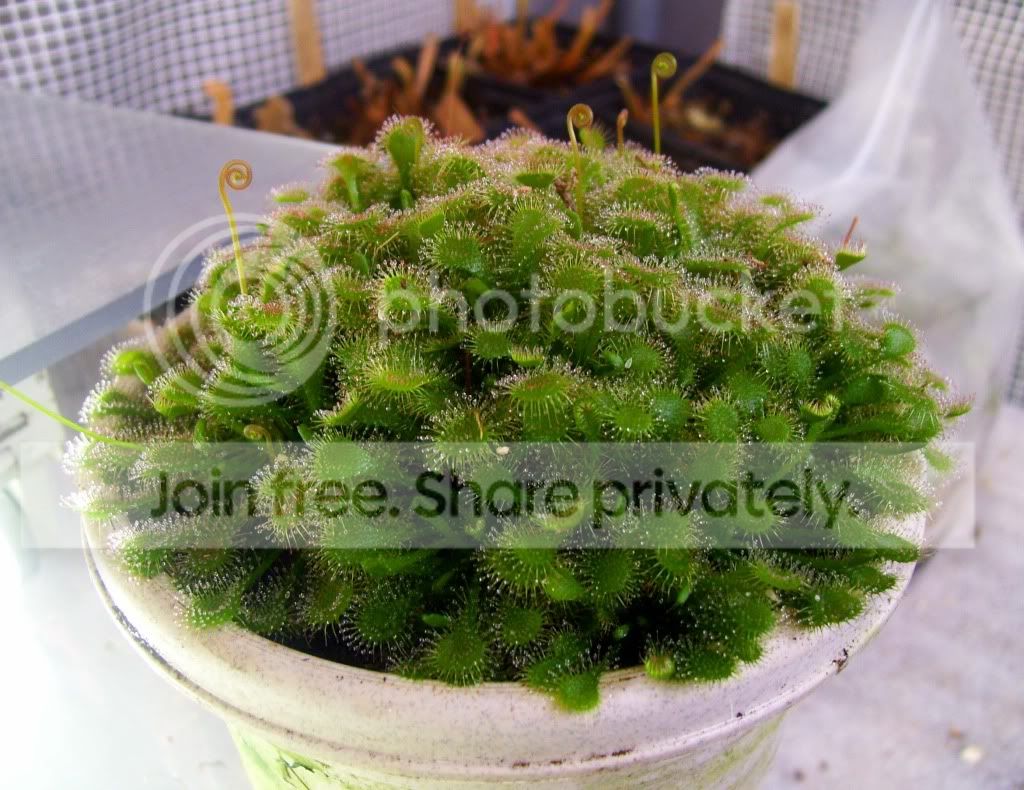 100_7712.jpg
