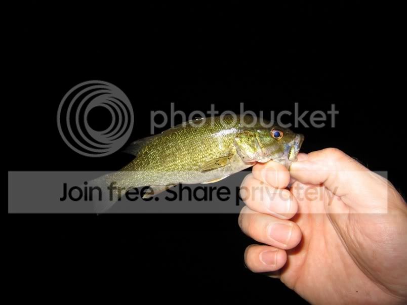 lrgbass2.jpg