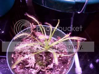 100_00351.jpg