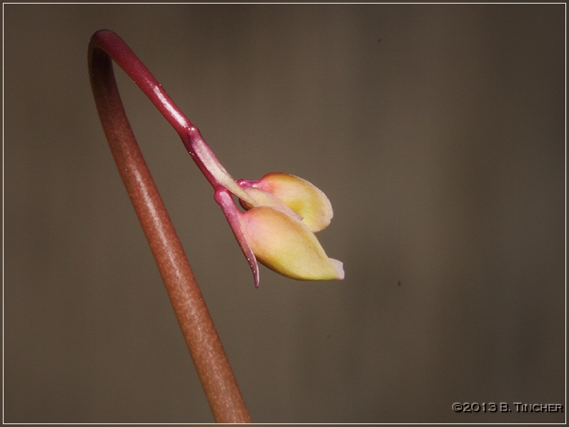 IMG_0061_hf.jpg