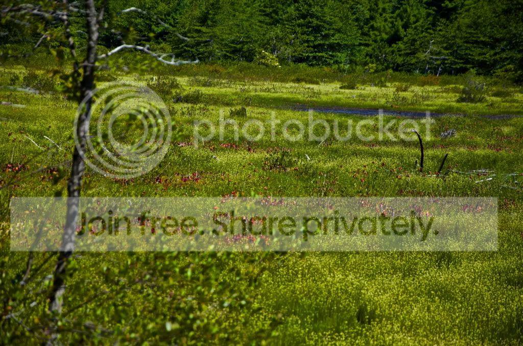 DSC_0299.jpg