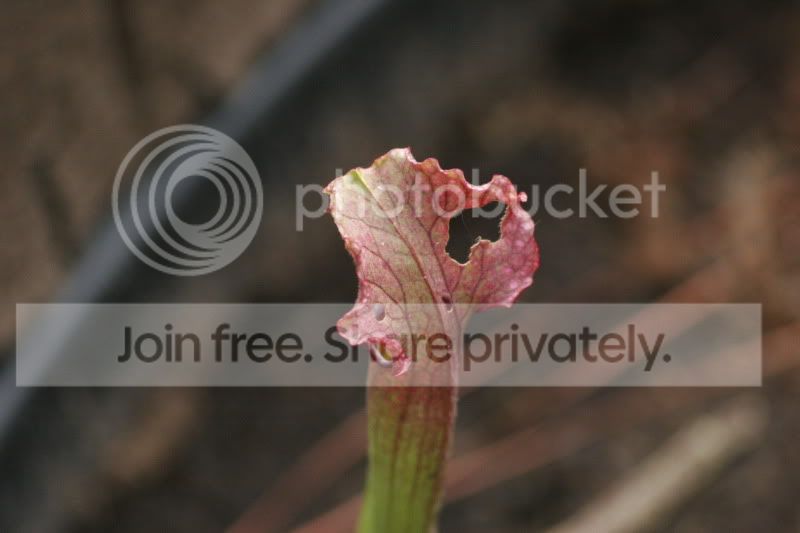 _MG_5787.jpg