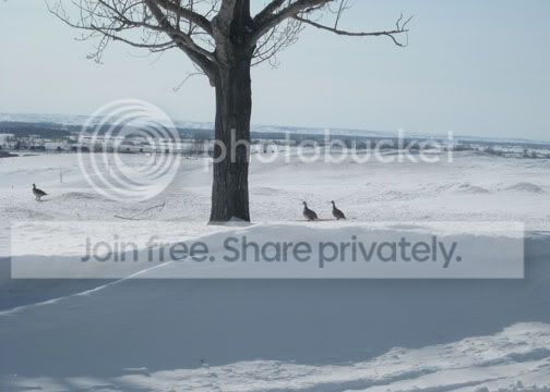 IMG_1150.jpg