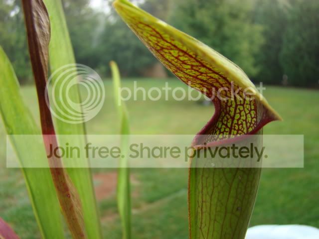 Bogphotos8-08054.jpg