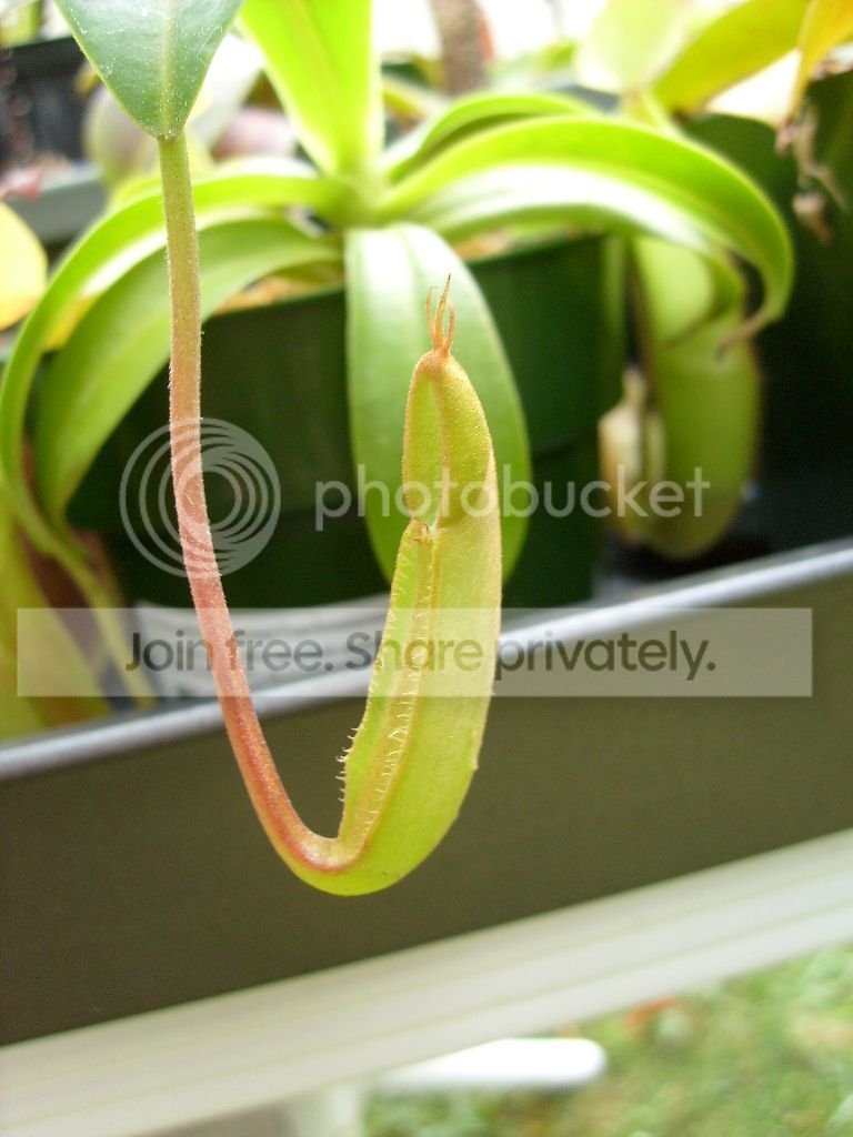 S6301352_zpscaea738e.jpg