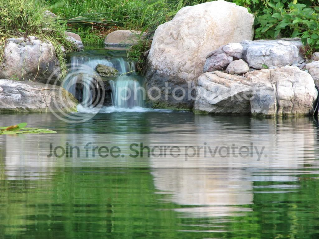 IMG_6603.jpg