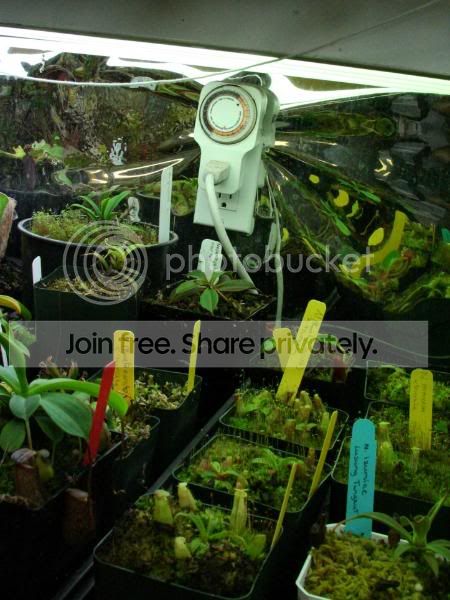 Growroom9.jpg