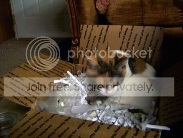 100_3791.jpg