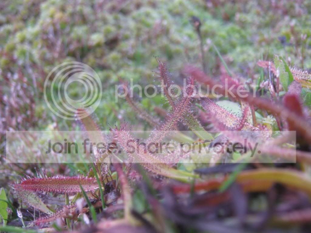 IMG_2626.jpg