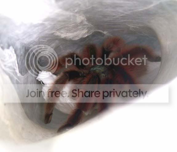 100_3474.jpg