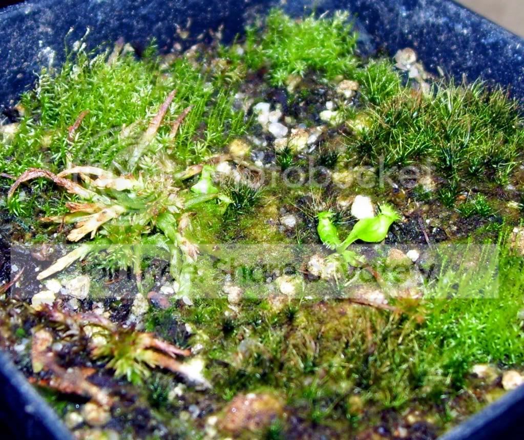100_7092.jpg