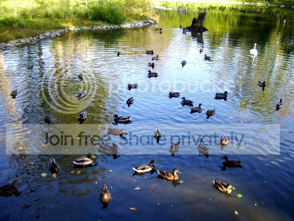 100_5766.jpg