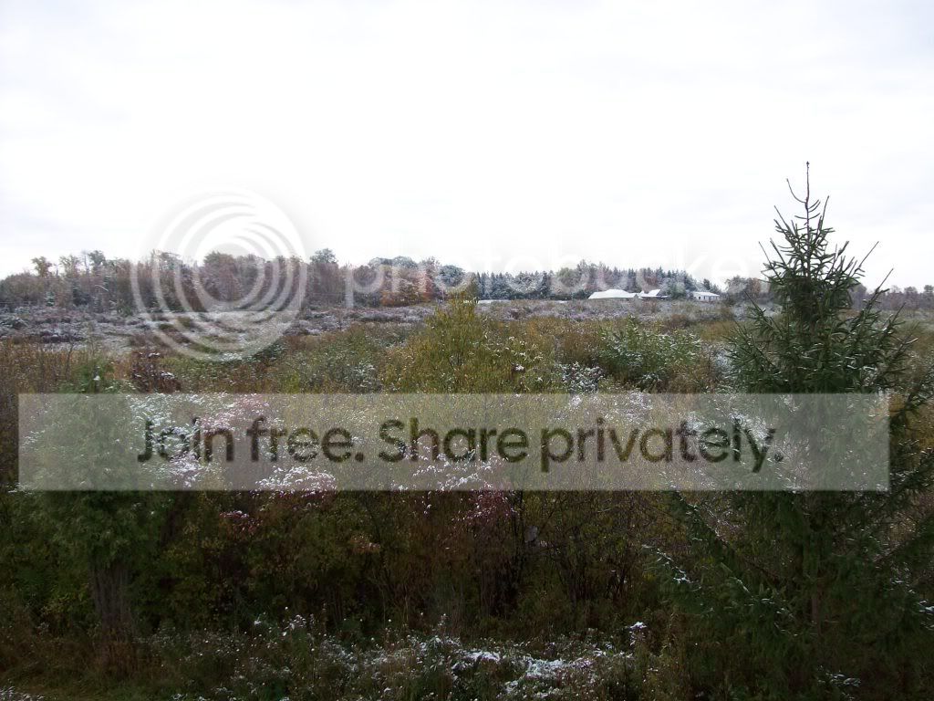 Picture-1.jpg