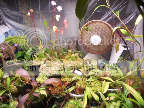 nsidechamber02_3-8-12.jpg