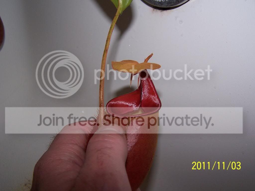 100_5508.jpg