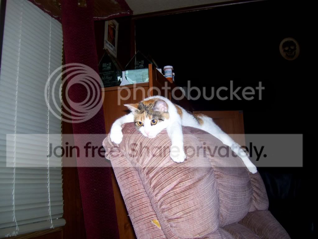 100_4584.jpg