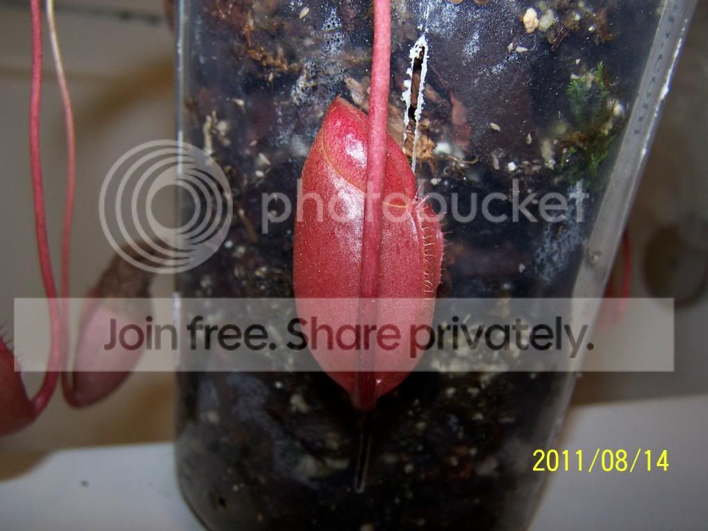 100_5046.jpg