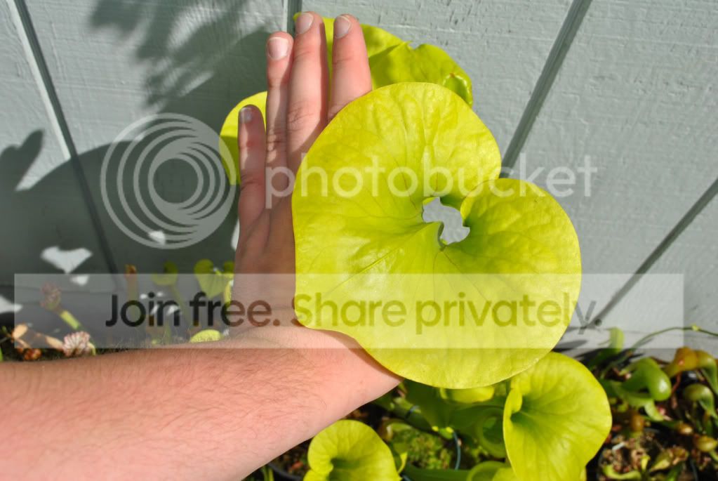cc4f3488.jpg