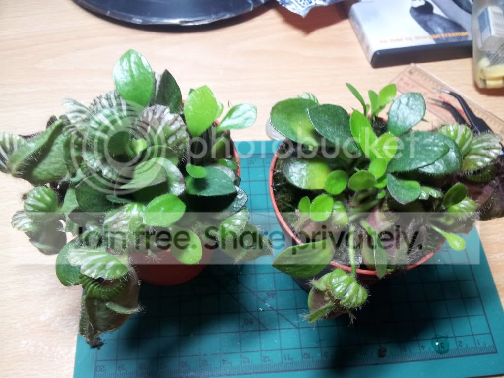 2012-01-05162858.jpg