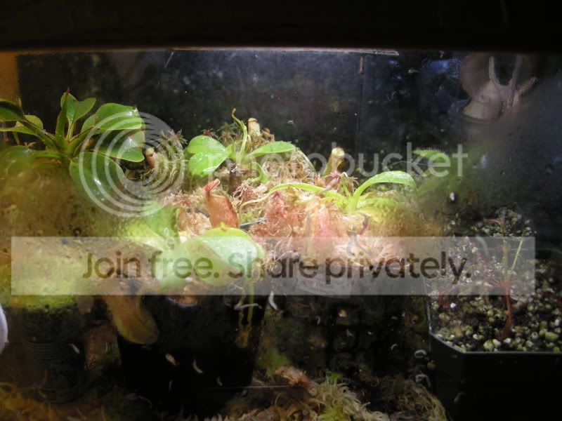 DSCN6432.jpg