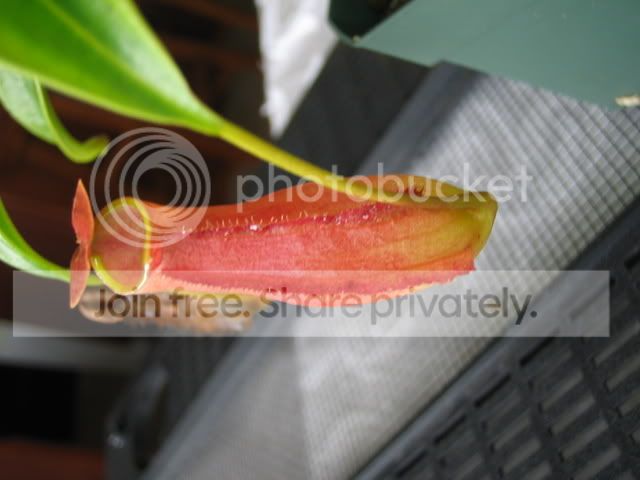 IMG_8524.jpg