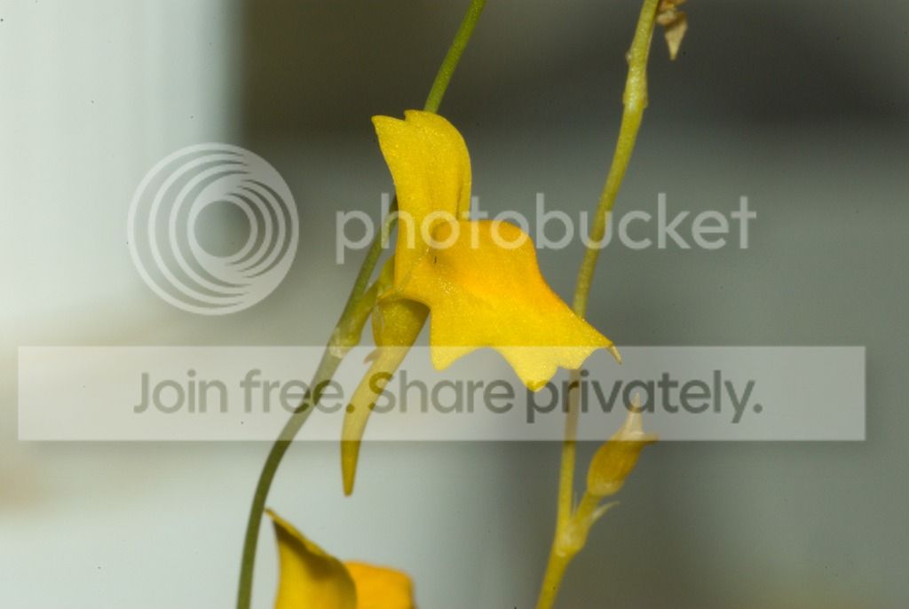 IMGP1533_zps464cs5fl.jpg