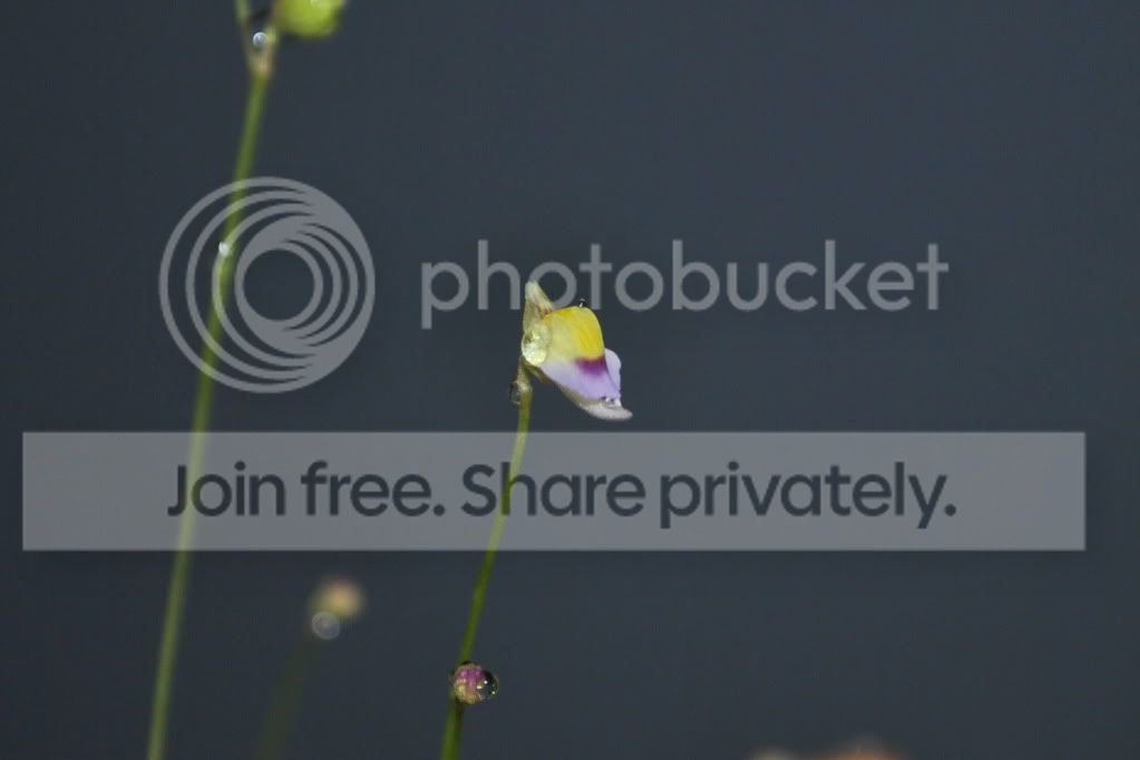 June2011163.jpg