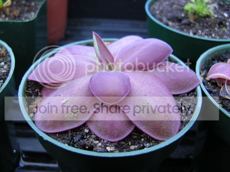 DSCN3556.jpg