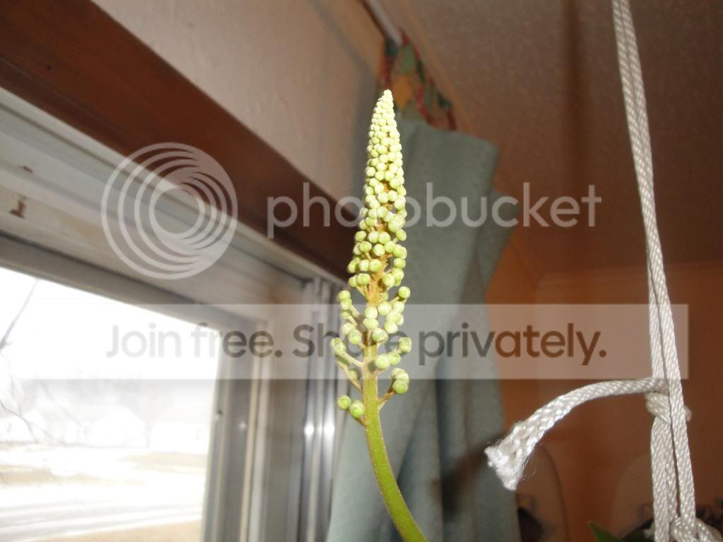 DSC03174.jpg