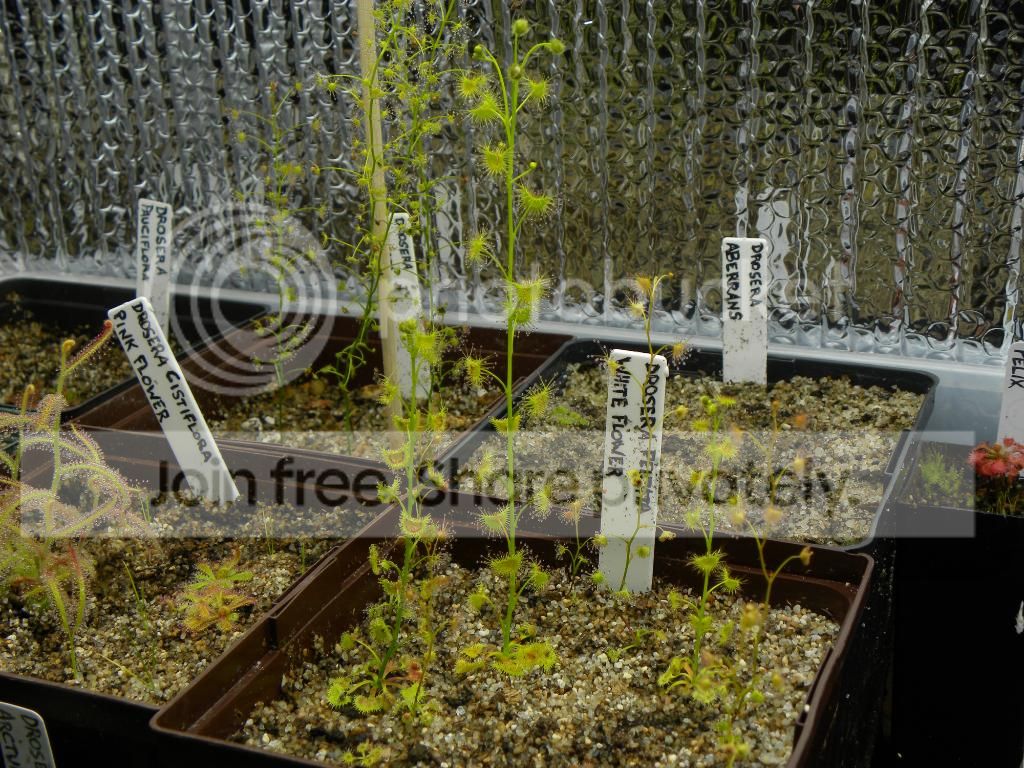 038_zps5db3489d.jpg