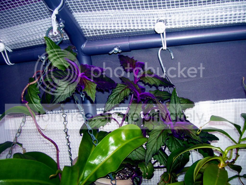 100_6671.jpg
