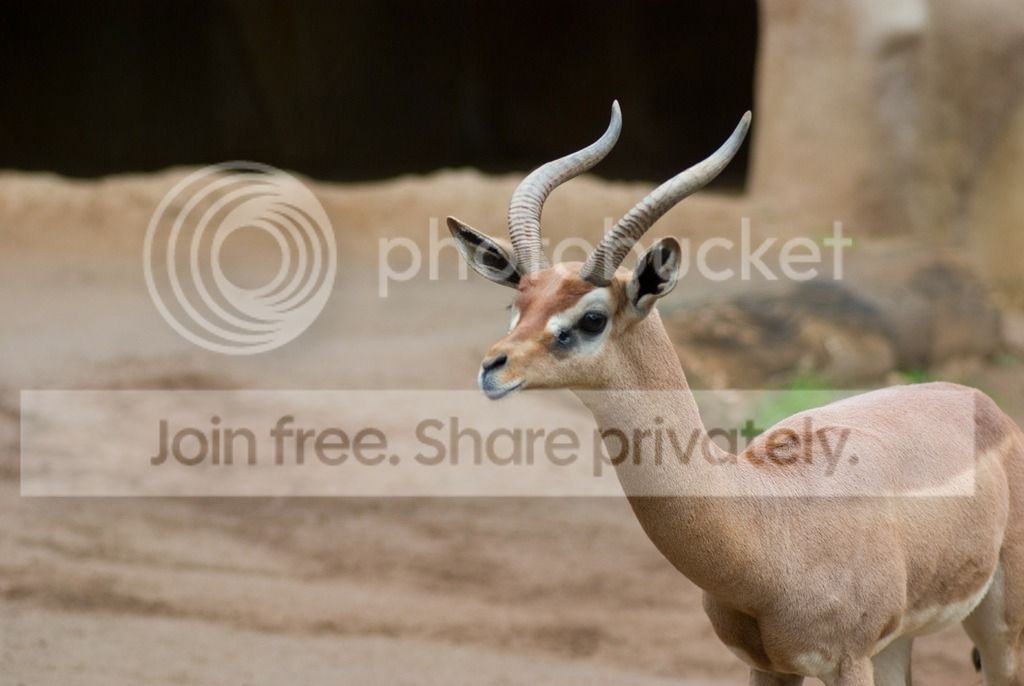 IMGP3554_zpsyajsxft8.jpg