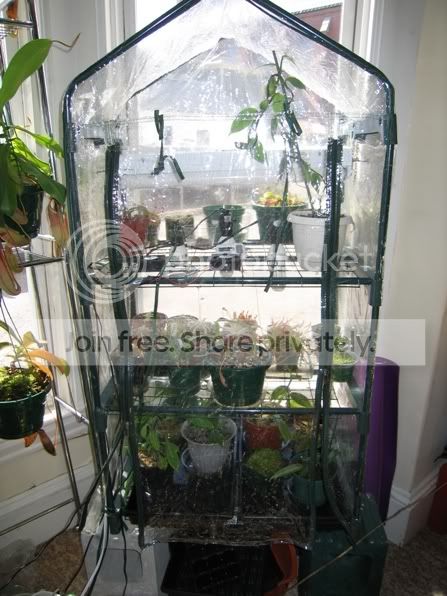 greenhouse.jpg