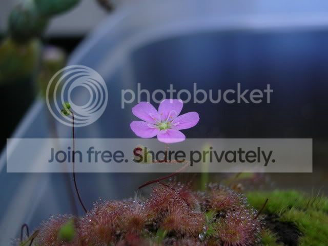 DSCN6634.jpg
