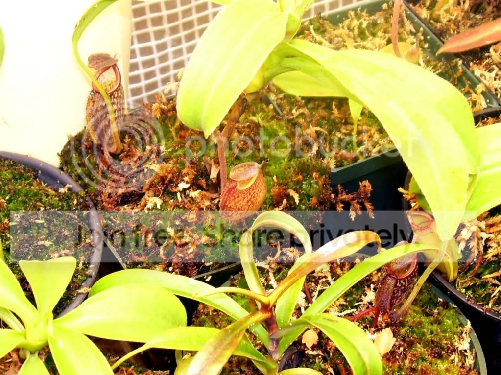 100_7570.jpg