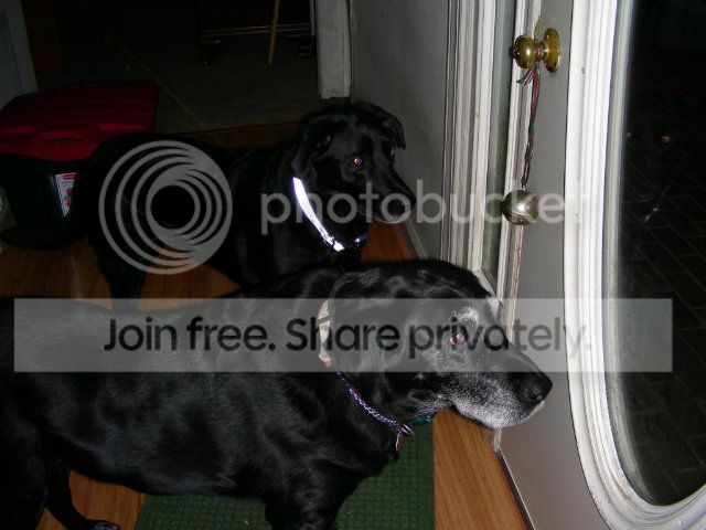 DSCN9454_zps70498bbc.jpg