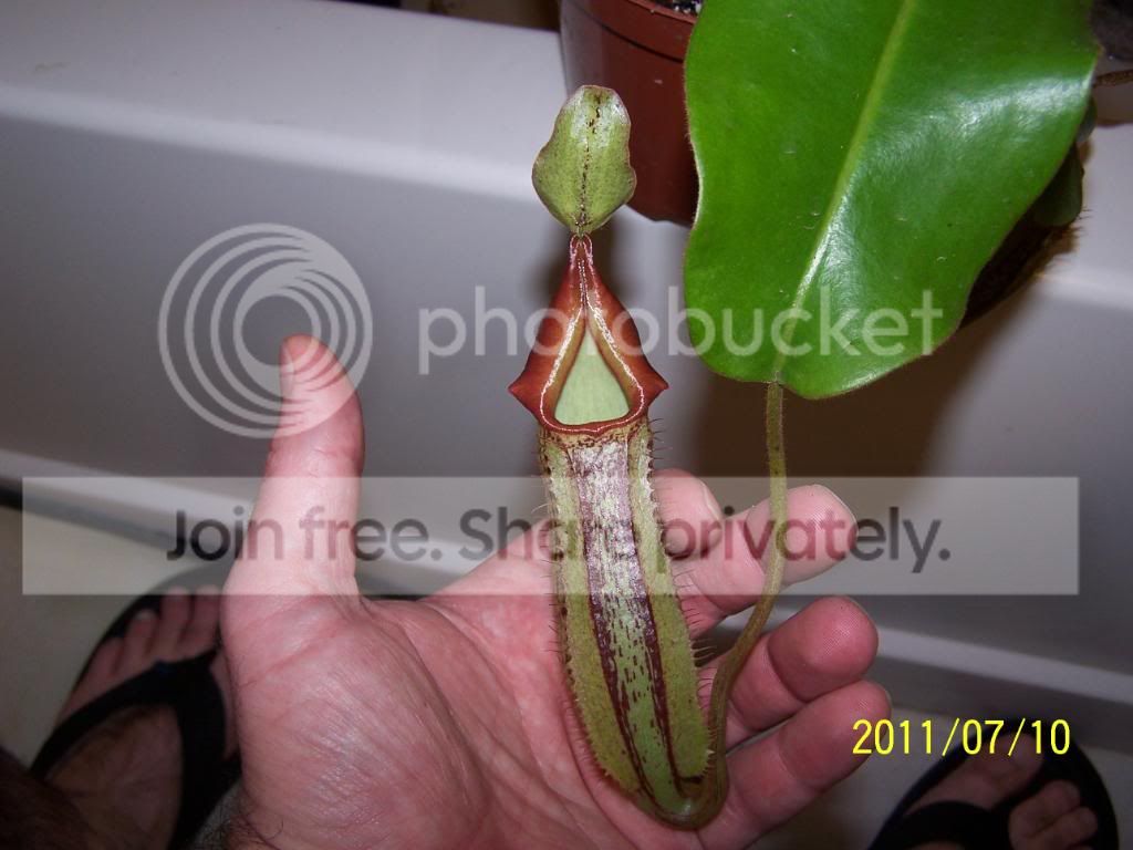 100_4783.jpg