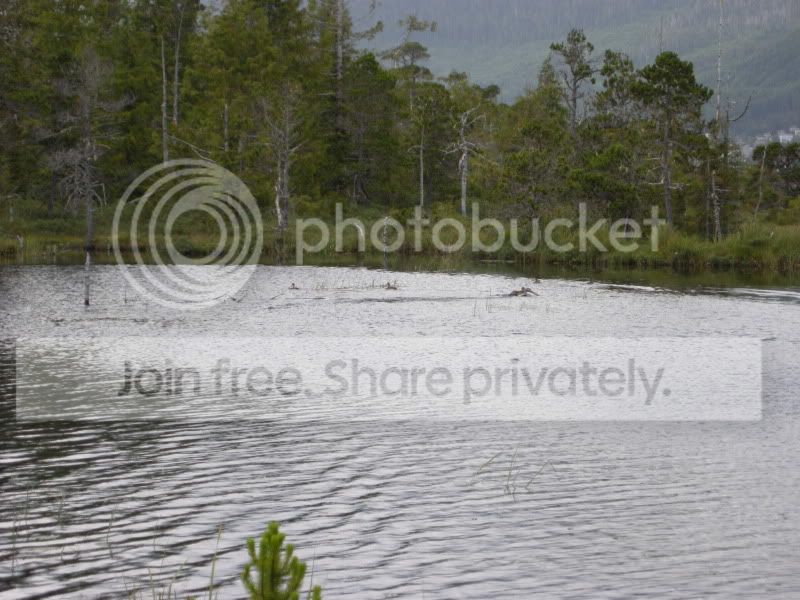 DSCN6150.jpg