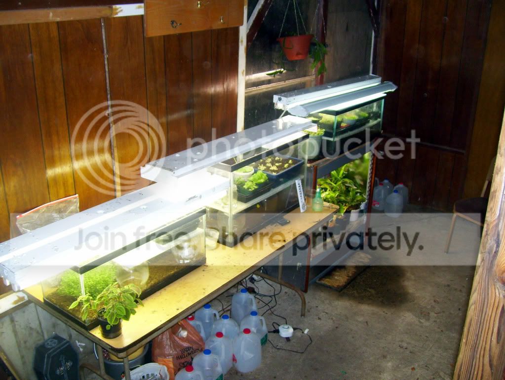 100_4143.jpg