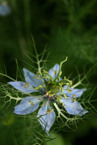 675407698_483ae9fd76.jpg