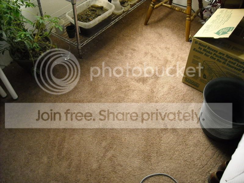 AutoWatering002.jpg