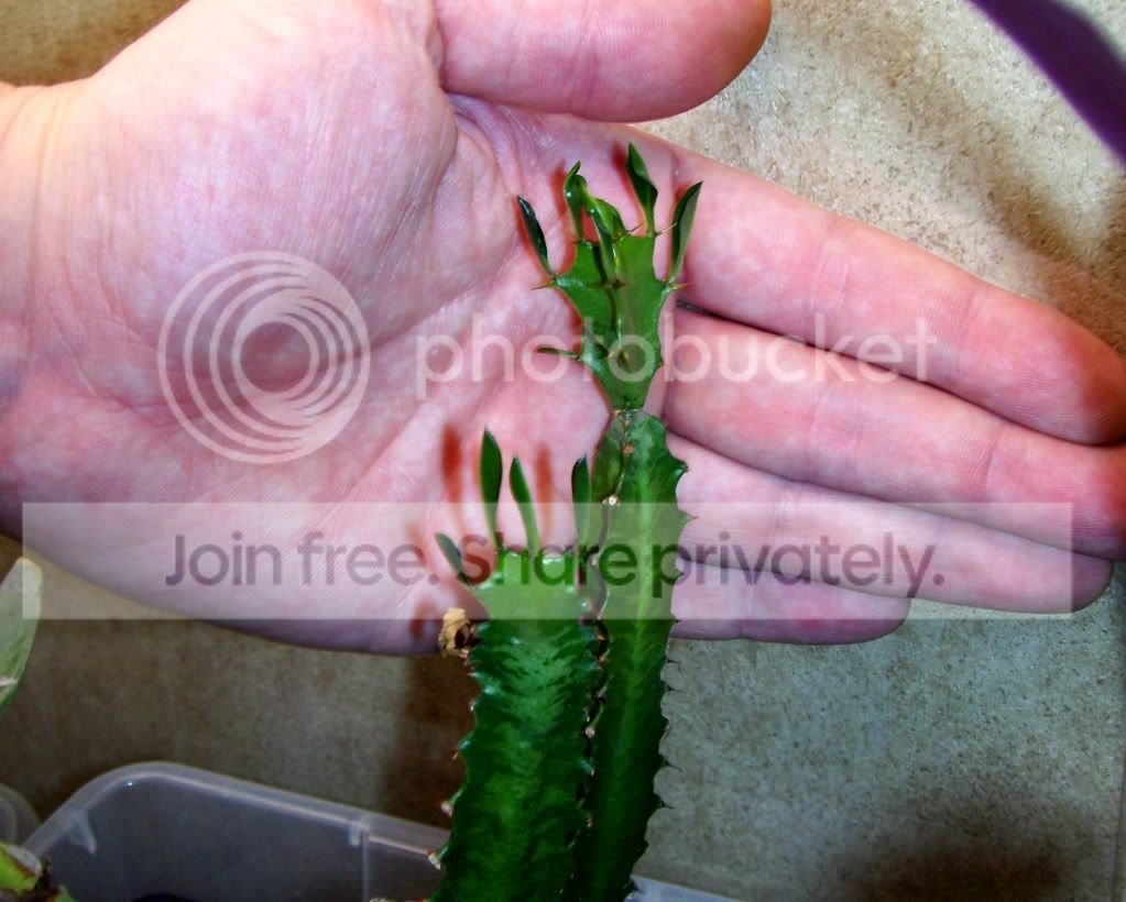 100_7865.jpg