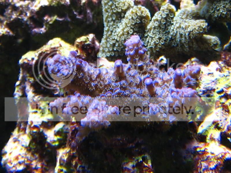 IMG_0028.jpg
