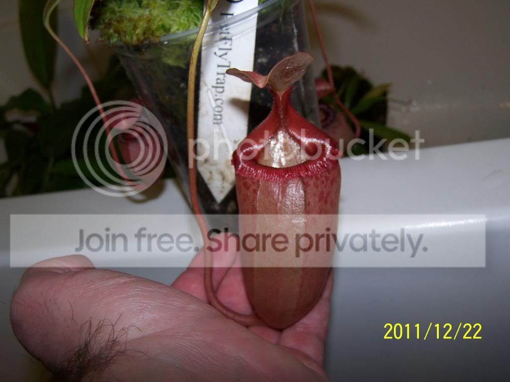 100_5671.jpg