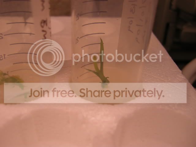 DSCN8244.jpg