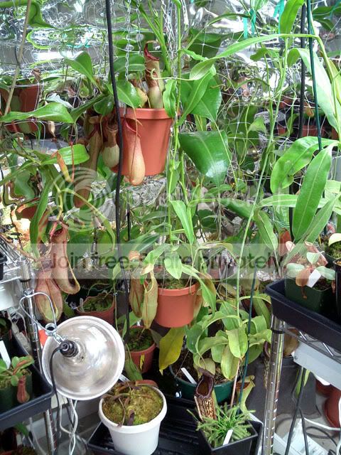 Growroom6.jpg