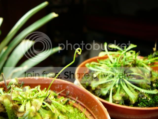 Picture119.jpg
