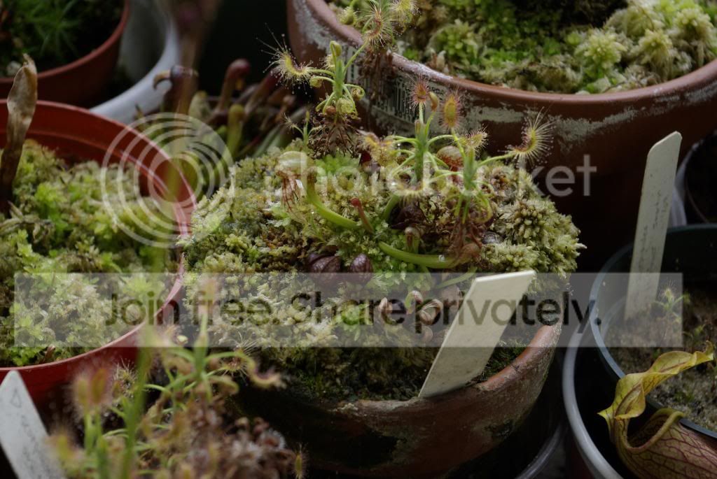 _IGP0640.jpg