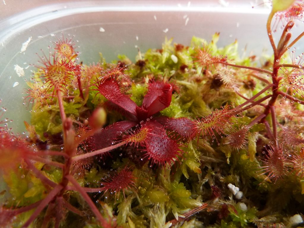 plants10032012048.jpg