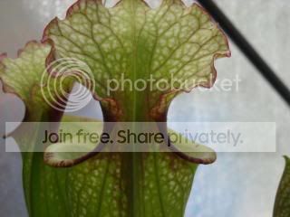 DSCN0513.jpg